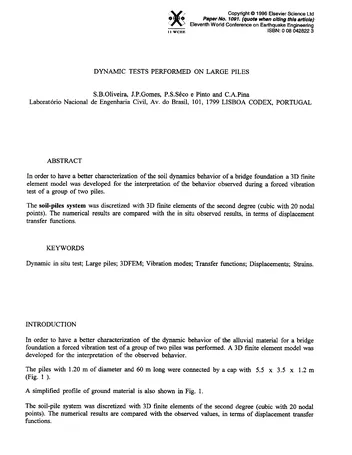 Más sobre Pruebas Dinámicas Realizadas en Pilotes Grandes