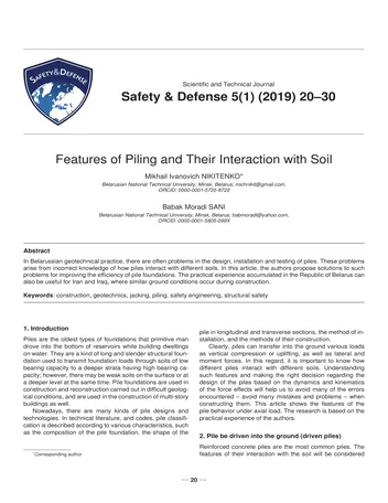 Más sobre Características de Piloteo y su Interacción con el Suelo